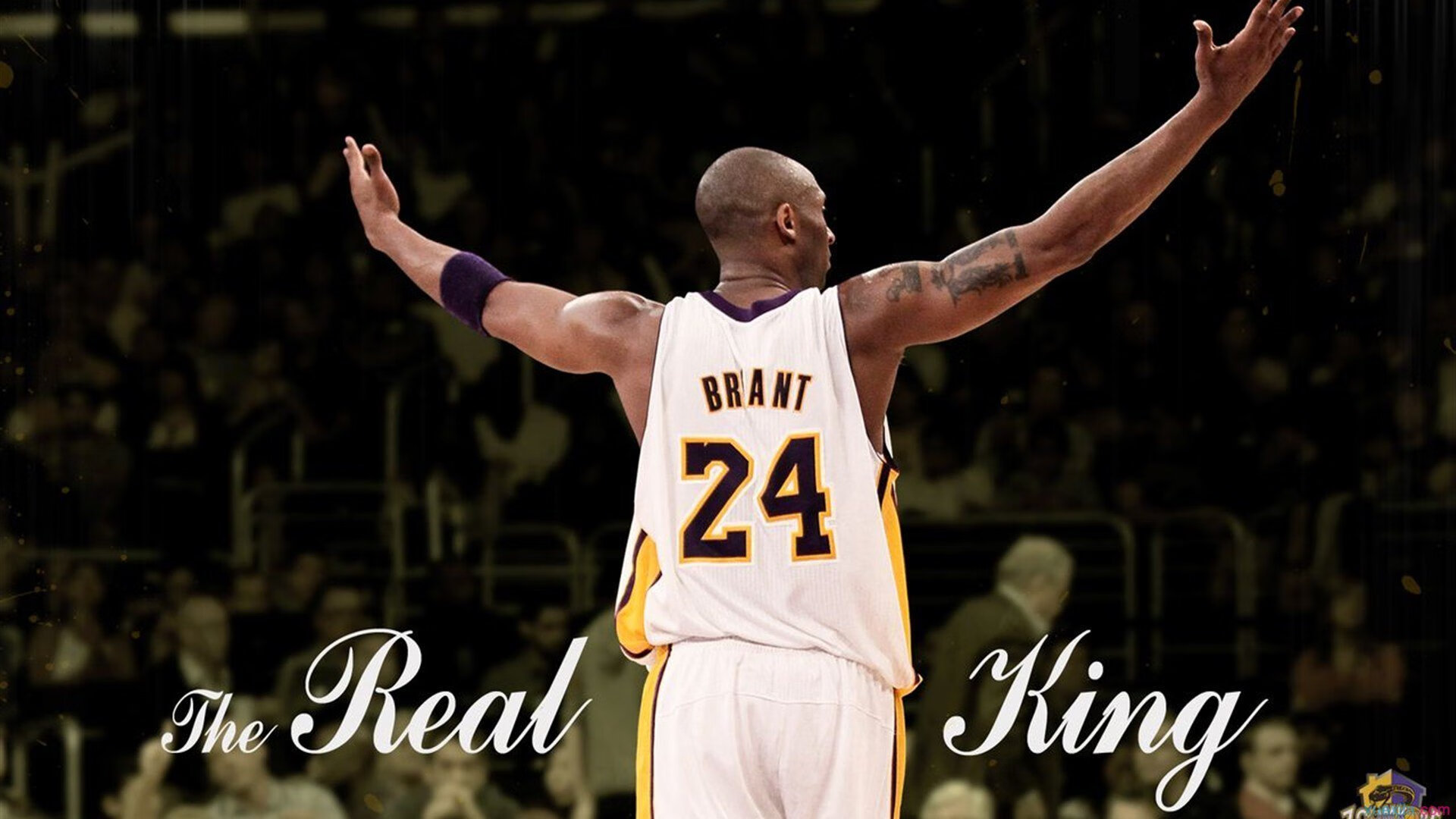 国家篮球联盟治理结构优化，国家篮球联合会