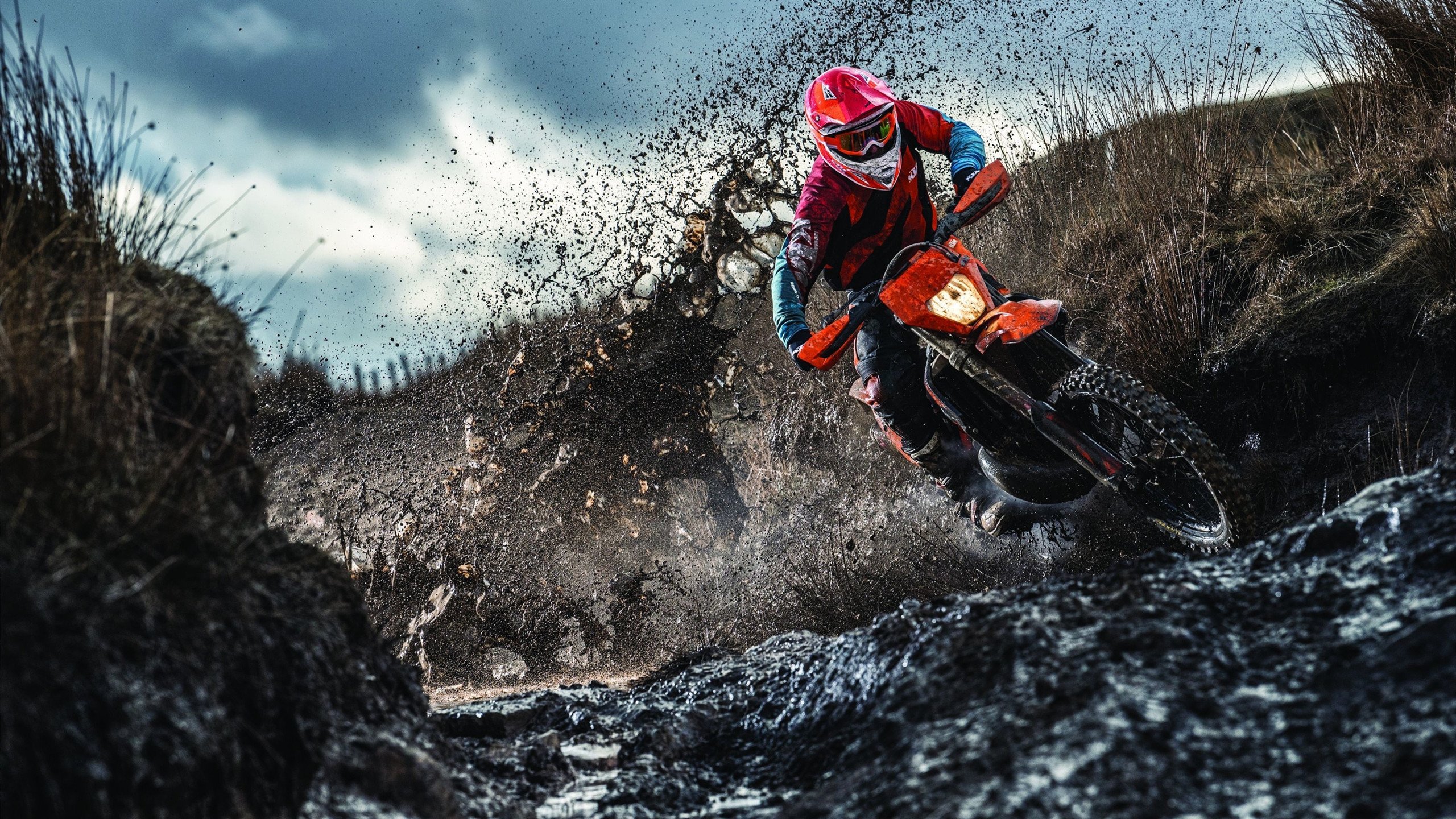 法国举办篮球青少年培训营，法国篮球青年队